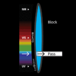BN_470_color_graph