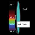 BP_500_color_graph