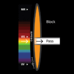 BP_590_color_graph