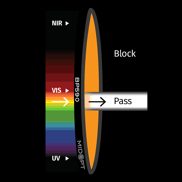 BP590 Orange Bandpass Filter
