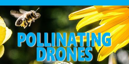 Pollinating Drones