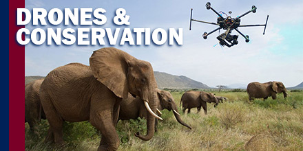 Drones and conservation