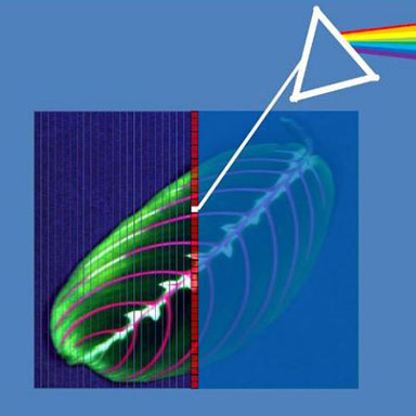 Hyperspectral Imaging: What is it?